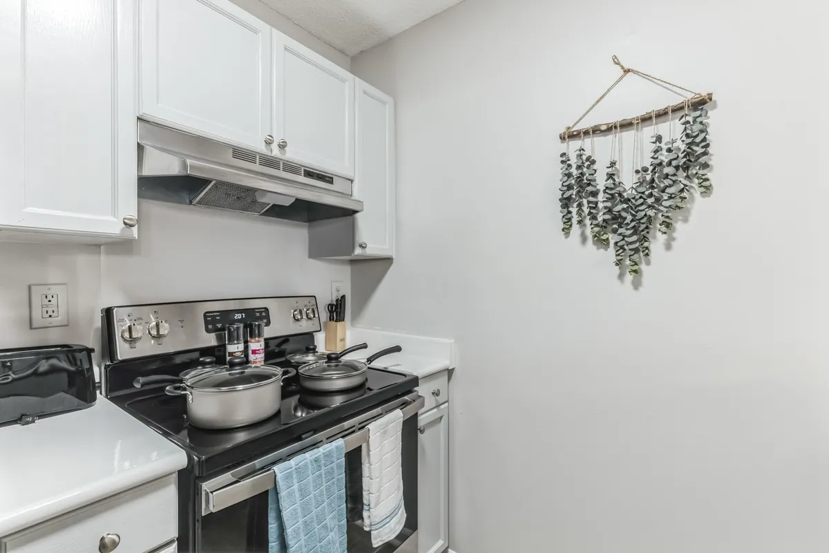 A warm, homely kitchen scene featuring a stainless steel stove, cooking pots in use, and hanging greenery. The space feels lived-in and inviting, perfectly suited for preparing family recipes or experimenting with new dishes. The touch of greenery adds vibrancy and warmth.